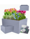 Skrzynia na warzywa skrzynie grządka warzywnik 60x120x120 warzywniak PCV