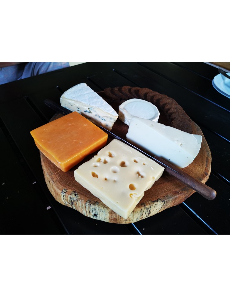 Plastry Drewna - Taca Obrotowa /śr. 20-25 cm/ Drewno Dębu bez Kory - product b2b.wamar.biz 10