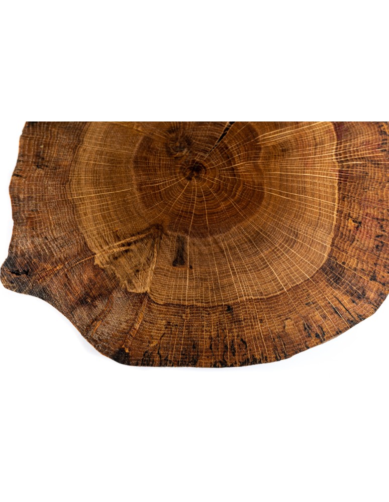 Plastry Drewna - Taca Obrotowa /śr. 30-35 cm/ Drewno Dębu bez Kory - produkt b2b.wamar.biz 2