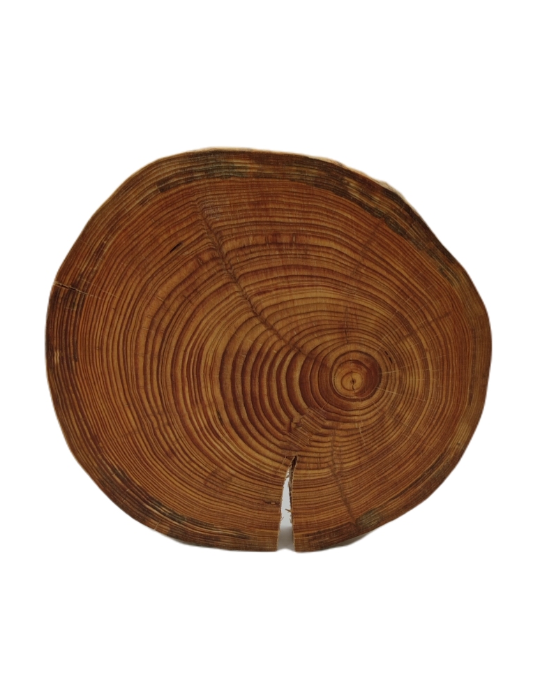 Plastry Drewna - Taca Obrotowa /śr. 20-25 cm/ Drewno Modrzewia bez Kory - produkt b2b.wamar.biz 4