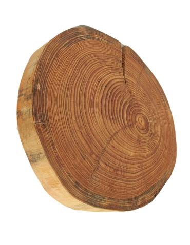 Taca Obrotowa /śr. 30-35 cm/ Drewno Modrzewia bez Kory - product 2