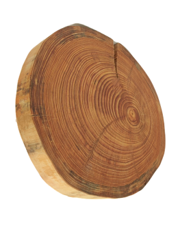 Taca Obrotowa /śr. 30-35 cm/ Drewno Modrzewia bez Kory - product 2