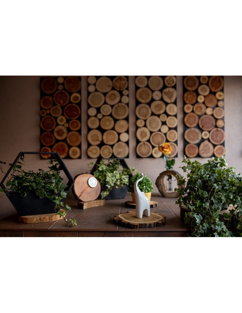 Plastry Drewna - Zestaw 2 szt Okorowanych Podkładek na Stół /śr. 9-12 cm/ Drewno Akacji - produkt b2b.wamar.biz 4