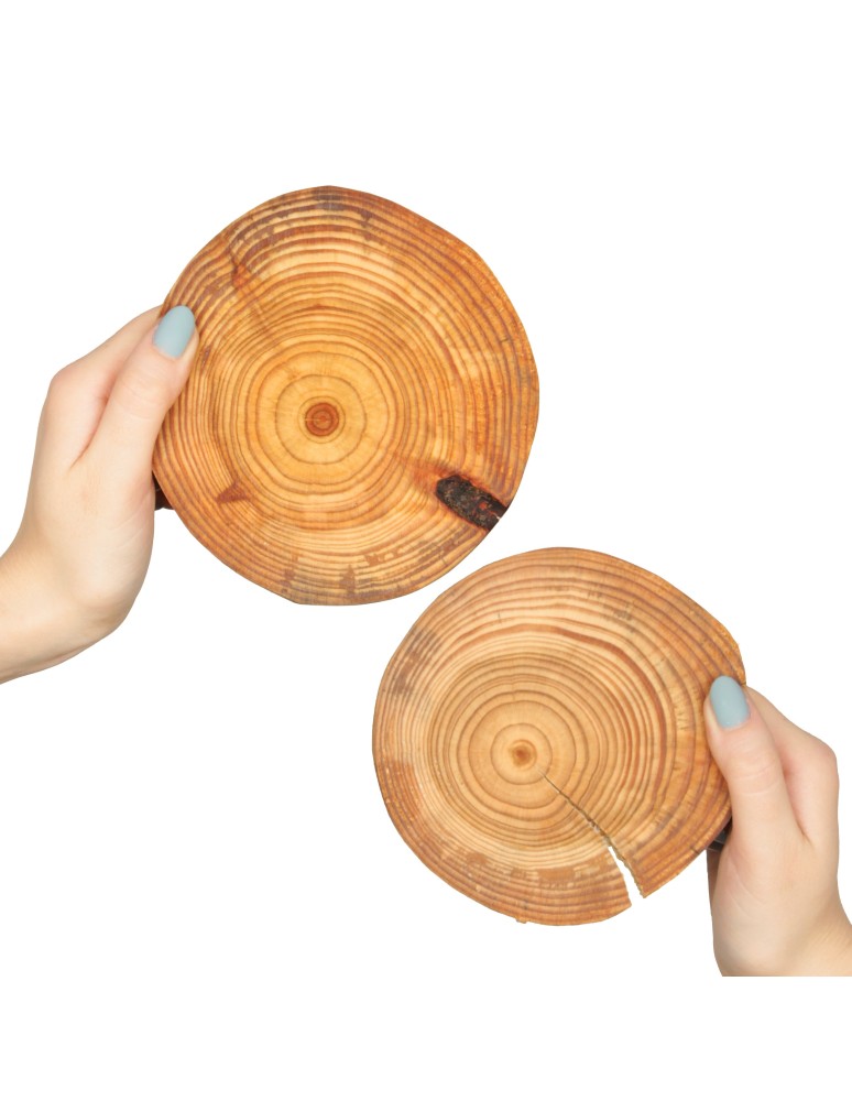 Plastry Drewna - Zestaw 2 szt Okorowanych Podkładek na Stół /śr. 12-15 cm/ Drewno Modrzewia - product b2b.wamar.biz 1