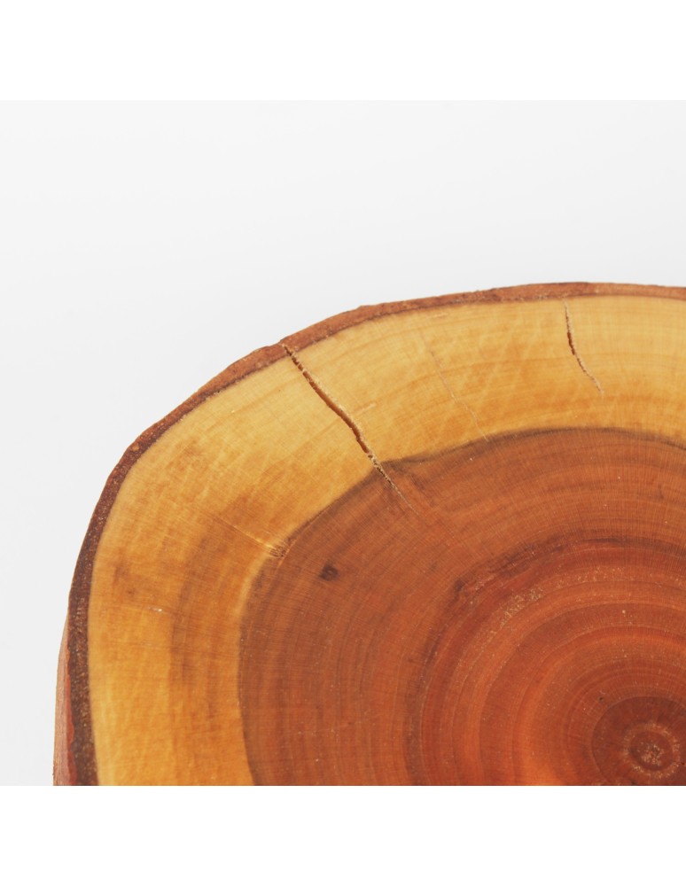 Plastry Drewna - Zestaw 2 szt Okorowanych Podkładek na Stół /śr. 12-15 cm/ Drewno Czeremchy - product b2b.wamar.biz 4