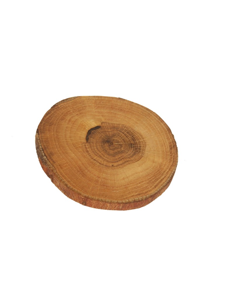 Plastry Drewna - Zestaw 6 szt Okorowanych Podkładek na Stół /śr. 9-12 cm/ Drewno Dębu - produkt b2b.wamar.biz 2