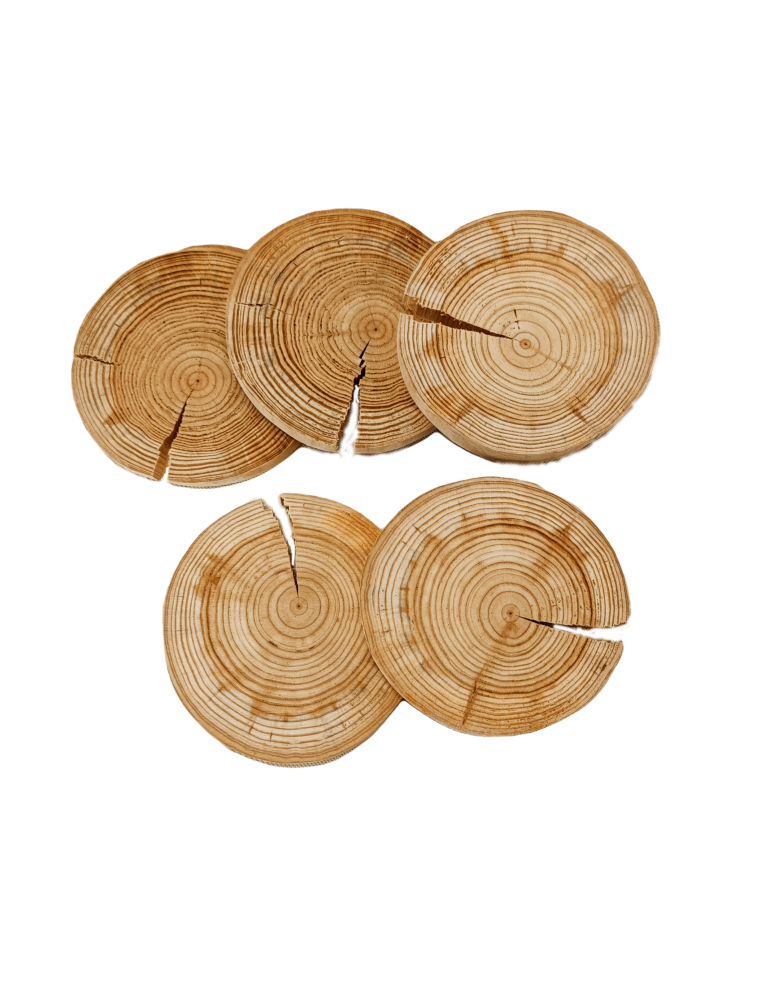 Plastry Drewna - Zestaw 6 szt Okorowanych Podkładek na Stół /śr. 12-15 cm/ Drewno Modrzewia - produkt b2b.wamar.biz 4