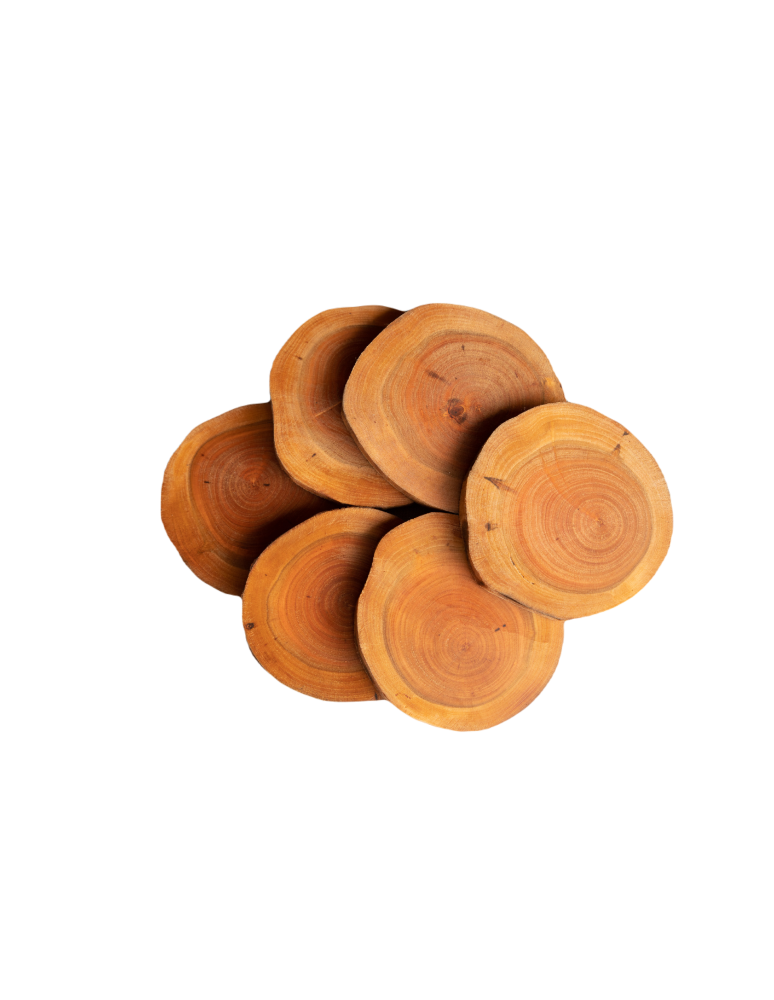 Plastry Drewna - Zestaw 6 szt Okorowanych Podkładek na Stół /śr. 12-15 cm/ Drewno Czeremchy - product b2b.wamar.biz 4