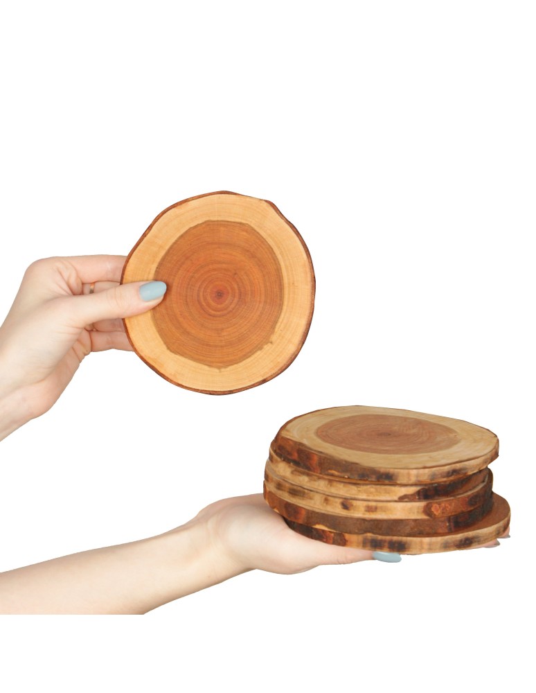 Plastry Drewna - Zestaw 6 szt Okorowanych Podkładek na Stół /śr. 12-15 cm/ Drewno Czeremchy - product b2b.wamar.biz 1