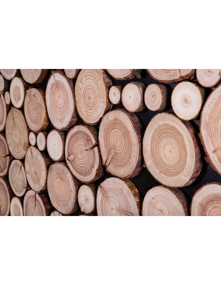 Plastry Drewna - Panel Ścienny Dekoracyjny 76X38X3 cm Plastry Modrzewia 1 szt - product b2b.wamar.biz 3