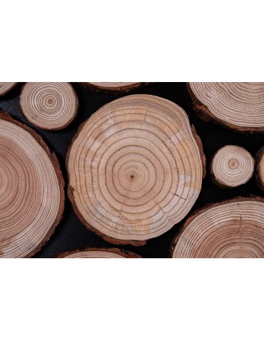 Plastry Drewna - Panel Ścienny Dekoracyjny 76X38X3 cm Plastry Modrzewia 1 szt - product 4