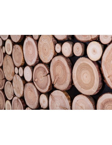 Plastry Drewna - Panel Ścienny Dekoracyjny 70X38X3 cm Plastry Modrzewia 1 szt - product 3