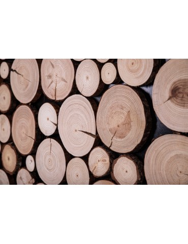 Plastry Drewna - Panel Ścienny Dekoracyjny 70X38X3 cm Plastry Sosny 1 szt - product 3