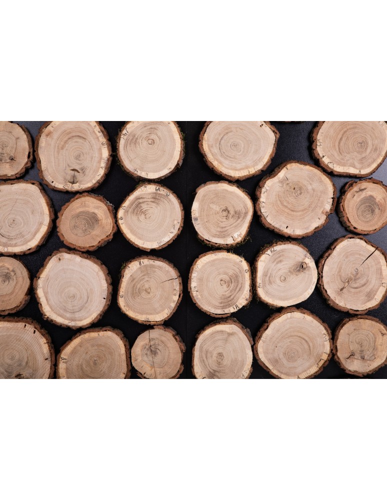 Plastry Drewna - Panel Ścienny Dekoracyjny 76X38X3 cm Plastry Dębu 4 szt - product b2b.wamar.biz 4