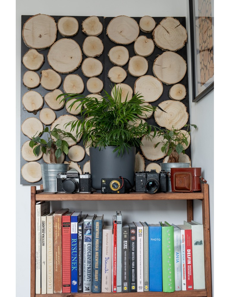 Plastry Drewna - Panel Ścienny Dekoracyjny 70X38X3 cm Plastry Brzozy 1 szt - product b2b.wamar.biz 8