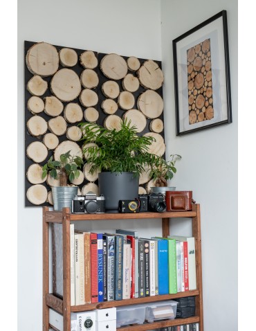 Plastry Drewna - Panel Ścienny Dekoracyjny 70X38X3 cm Plastry Brzozy 1 szt - product 9