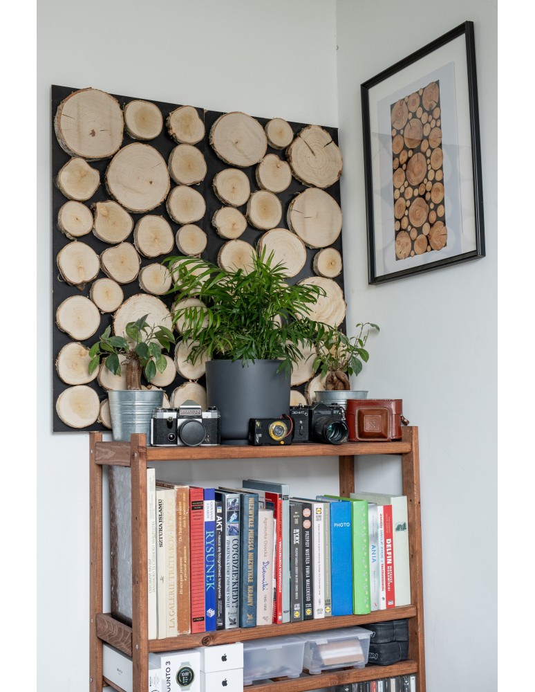 Plastry Drewna - Panel Ścienny Dekoracyjny 70X38X3 cm Plastry Brzozy 1 szt - product b2b.wamar.biz 9