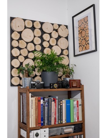 Plastry Drewna - Panel Ścienny Dekoracyjny 70X38X3 cm Plastry Brzozy 1 szt - product 10