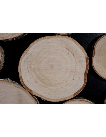 Plastry Drewna - Panel Ścienny Dekoracyjny 70X38X3 cm Plastry Brzozy 1 szt - product 5