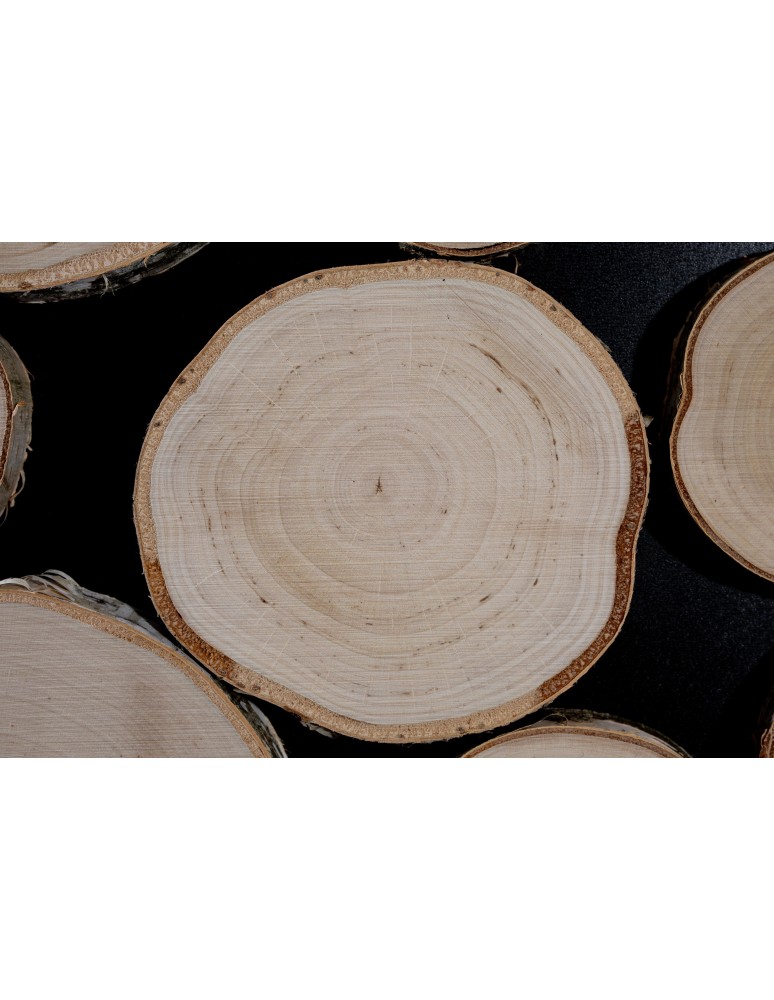 Plastry Drewna - Panel Ścienny Dekoracyjny 70X38X3 cm Plastry Brzozy 1 szt - product b2b.wamar.biz 5