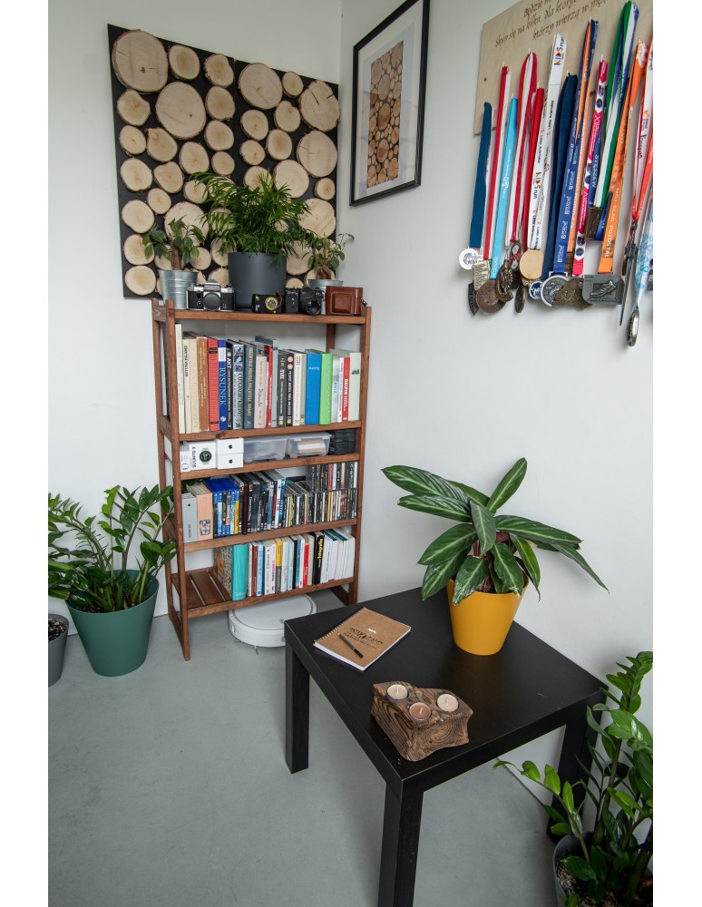 Plastry Drewna - Panel Ścienny Dekoracyjny 70X38X3 cm Plastry Brzozy 1 szt - product b2b.wamar.biz 11