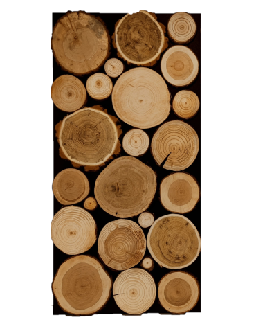 Panel Ścienny Dekoracyjny 76X38X3 cm Mix Polskich Lasów 1 szt