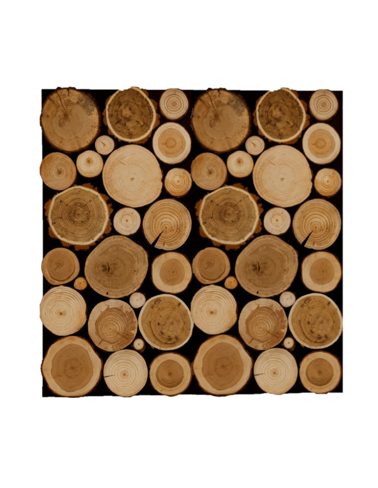 Plastry Drewna - Panel Ścienny Dekoracyjny 76X38X3 cm Mix Polskich Lasów 2 szt - product b2b.wamar.biz 3