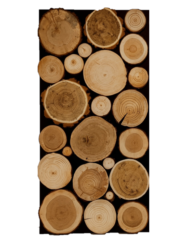 Plastry Drewna - Panel Ścienny Dekoracyjny 76X38X3 cm Mix Polskich Lasów 2 szt - product b2b.wamar.biz 2