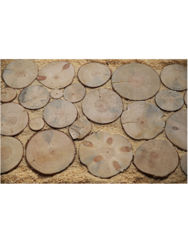 Plastry Drewna - Ścieżka Ogrodowa 80x40 cm Drewniany Panel Iglasty - product 4