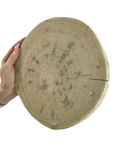 Okorowany Plaster Akacji 20-25 cm/ gr. 2 cm/ Szlifowany