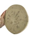 Okorowany Plaster Akacji 20-25 cm/ gr. 2 cm/ Szlifowany