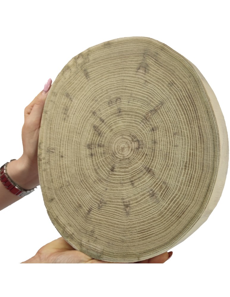 Plastry Okrągłe - Okorowany Plaster Akacji 20-25 cm/ gr. 3,5 cm/ Szlifowany - produkt b2b.wamar.biz 1