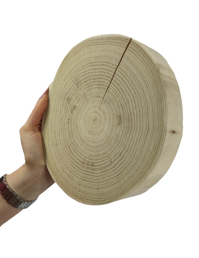 Plastry Okrągłe - Okorowany Plaster Akacji 15-20 cm/ gr. 3,5 cm/ Szlifowany - product b2b.wamar.biz 1