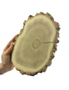 Plaster Akacji 15-20 cm/ gr. 2 cm/ Szlifowany z Korą