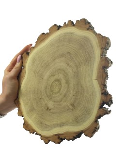 Plaster Akacji 20-25 cm/ gr. 2 cm/ Szlifowany z Korą