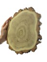 Plaster Akacji 20-25 cm/ gr. 2 cm/ Szlifowany z Korą