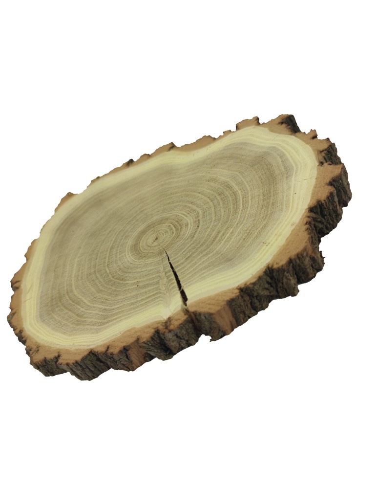 Plastry Okrągłe - Plaster Akacji 20-25 cm/ gr. 2 cm/ Szlifowany z Korą - produkt b2b.wamar.biz 3