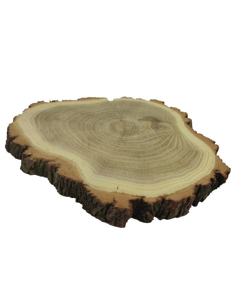 Plastry Okrągłe - Plaster Akacji 20-25 cm/ gr. 2 cm/ Szlifowany z Korą - produkt b2b.wamar.biz 4