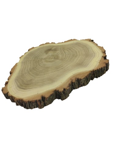 Plastry Okrągłe - Plaster Akacji 20-25 cm/ gr. 2 cm/ Szlifowany z Korą - produkt 5