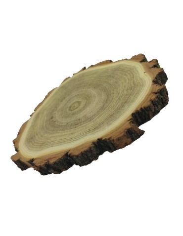 Plastry Okrągłe - Plaster Akacji 20-25 cm/ gr. 2 cm/ Szlifowany z Korą - produkt 6