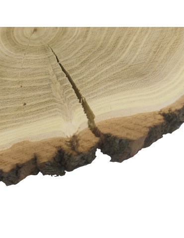 Plastry Okrągłe - Plaster Akacji 20-25 cm/ gr. 2 cm/ Szlifowany z Korą - produkt 8