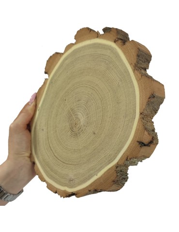 Plaster Akacji 20-25 cm/ gr. 3,5 cm/ Szlifowany z Korą