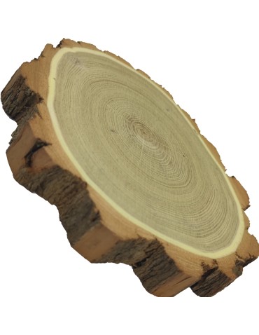 Plaster Akacji 20-25 cm/ gr. 3,5 cm/ Szlifowany z Korą - product 2