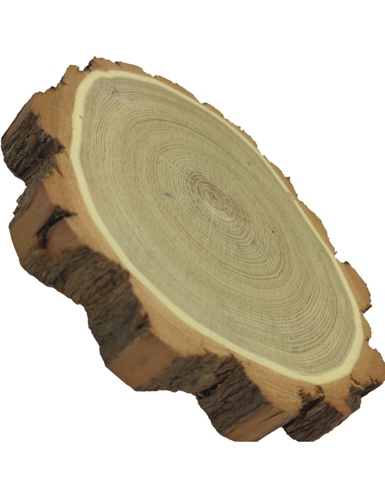 Plastry Okrągłe - Plaster Akacji 20-25 cm/ gr. 3,5 cm/ Szlifowany z Korą - product b2b.wamar.biz 2