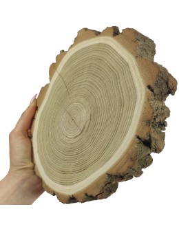 Plaster Akacji 15-20 cm/ gr. 3,5 cm/ Szlifowany z Korą