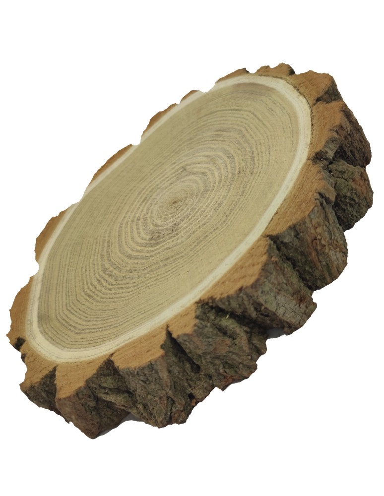 Plastry Okrągłe - Plaster Akacji 15-20 cm/ gr. 3,5 cm/ Szlifowany z Korą - product b2b.wamar.biz 3