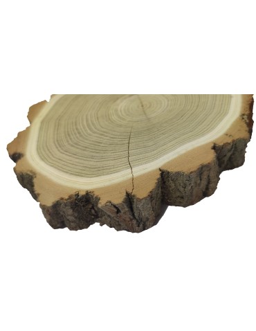 Plastry Okrągłe - Plaster Akacji 15-20 cm/ gr. 3,5 cm/ Szlifowany z Korą - product 4