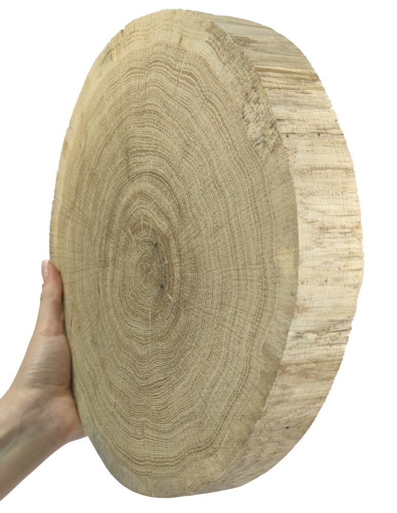 Plastry Okrągłe - Okorowany Plaster Dębu 25-30 cm/ gr. 4 cm/ Szlifowany - product b2b.wamar.biz 6