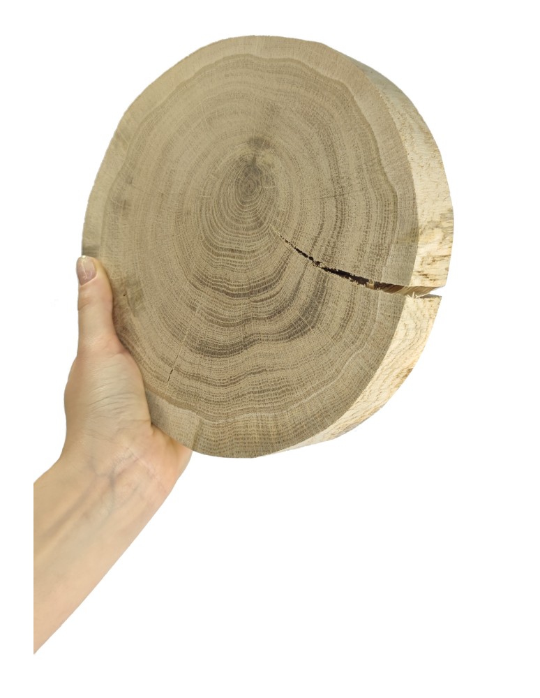 Plastry Okrągłe - Okorowany Plaster Dębu 15-20 cm/ gr. 3 cm/ Szlifowany - product b2b.wamar.biz 1