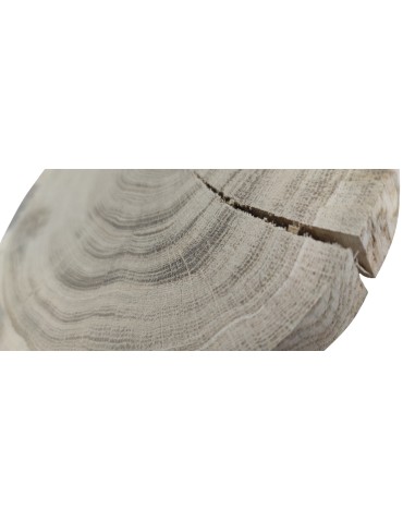 Plastry Okrągłe - Okorowany Plaster Dębu 15-20 cm/ gr. 3 cm/ Szlifowany - product 4